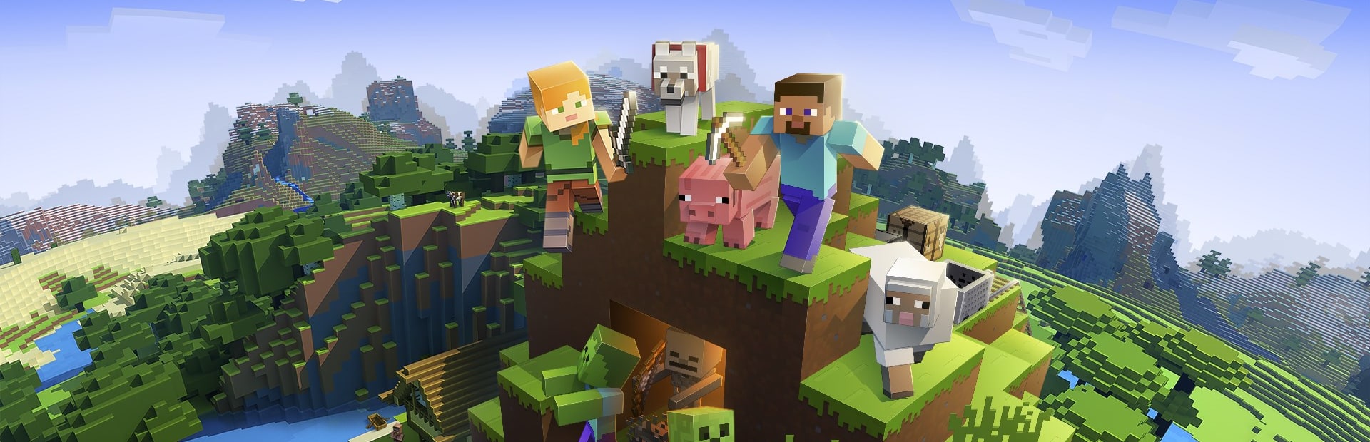 Minecraft: Java Edition - FAQ