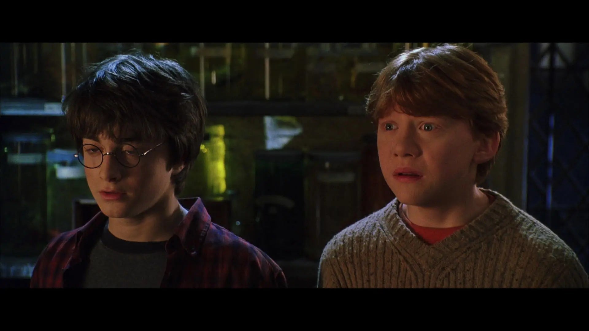 Harry Potter and the Chamber of Secrets – Blu-ray – Screenshot