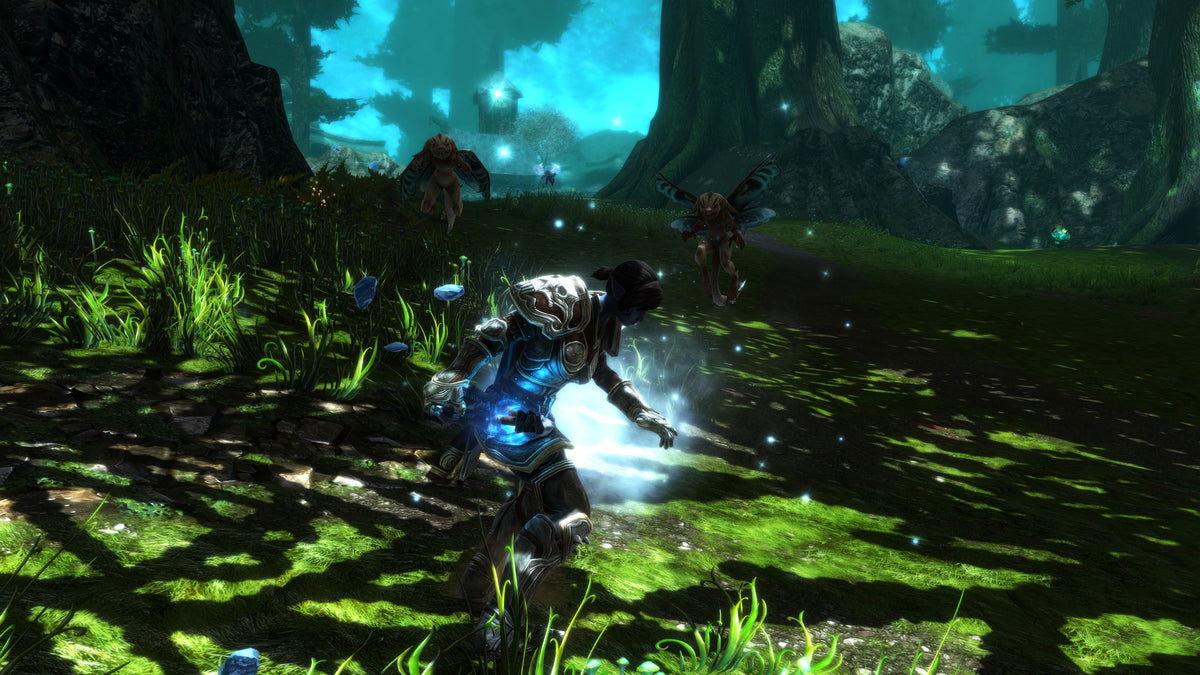 Kingdoms of Amalur: Re-Reckoning - PC Steam Game - Screenshot