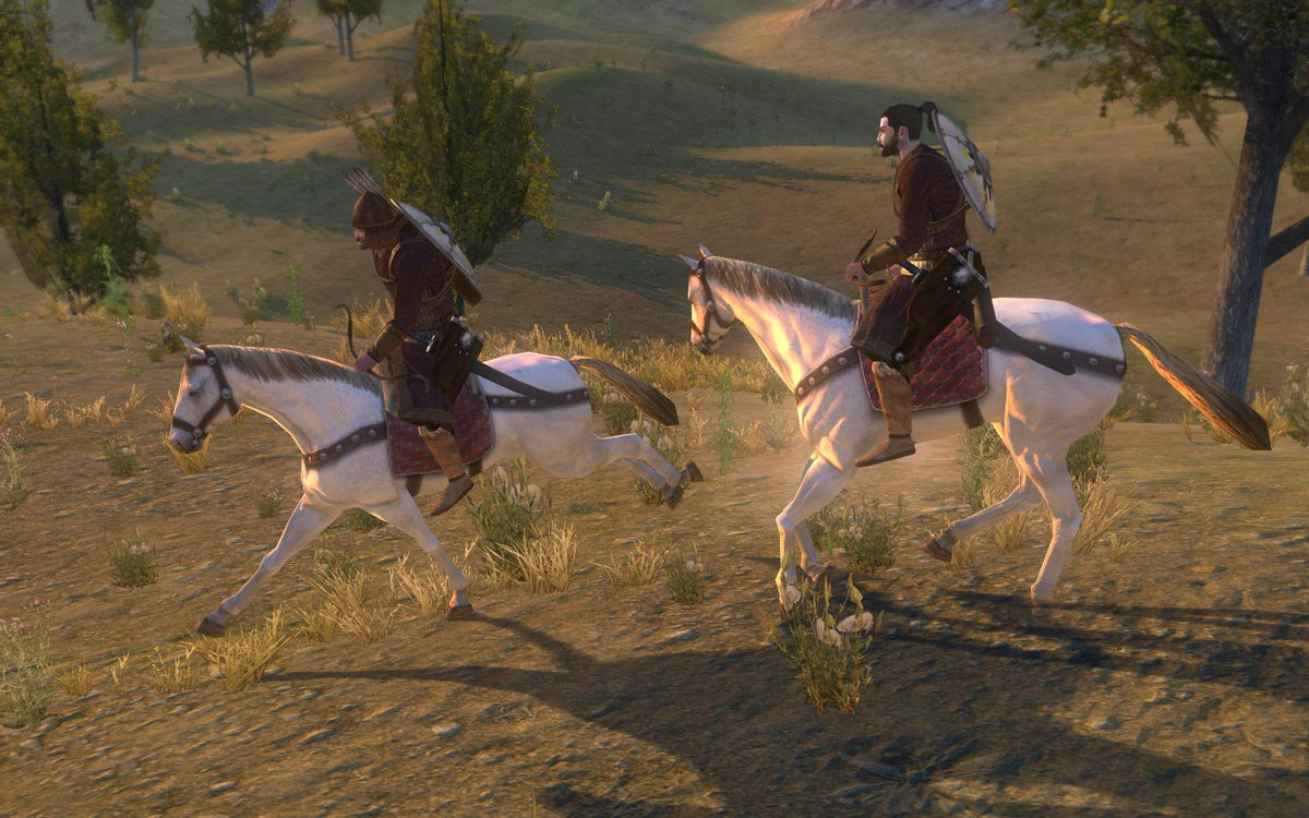 Mount & Blade: Warband - PC Mac Linux Steam Game - Screenshot