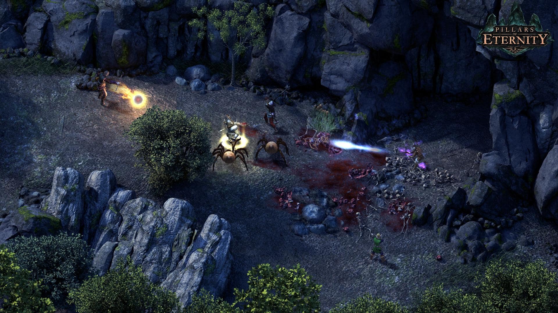 Pillars of Eternity: Hero Edition | PC Steam Game | Screenshot