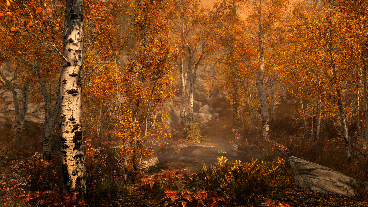 The Elder Scrolls V: Skyrim Special Edition - PC Steam Game - Screenshot