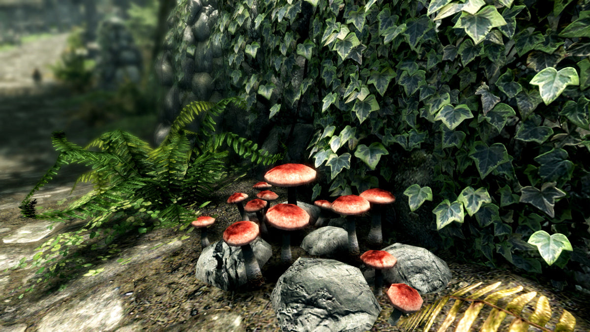 The Elder Scrolls V: Skyrim Special Edition - PC Steam Game - Screenshot