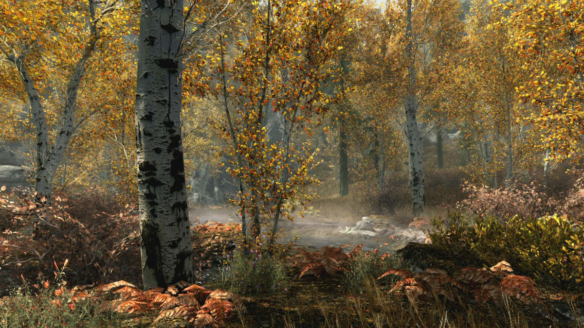 The Elder Scrolls V: Skyrim Special Edition - Xbox Digital Download - Screenshot