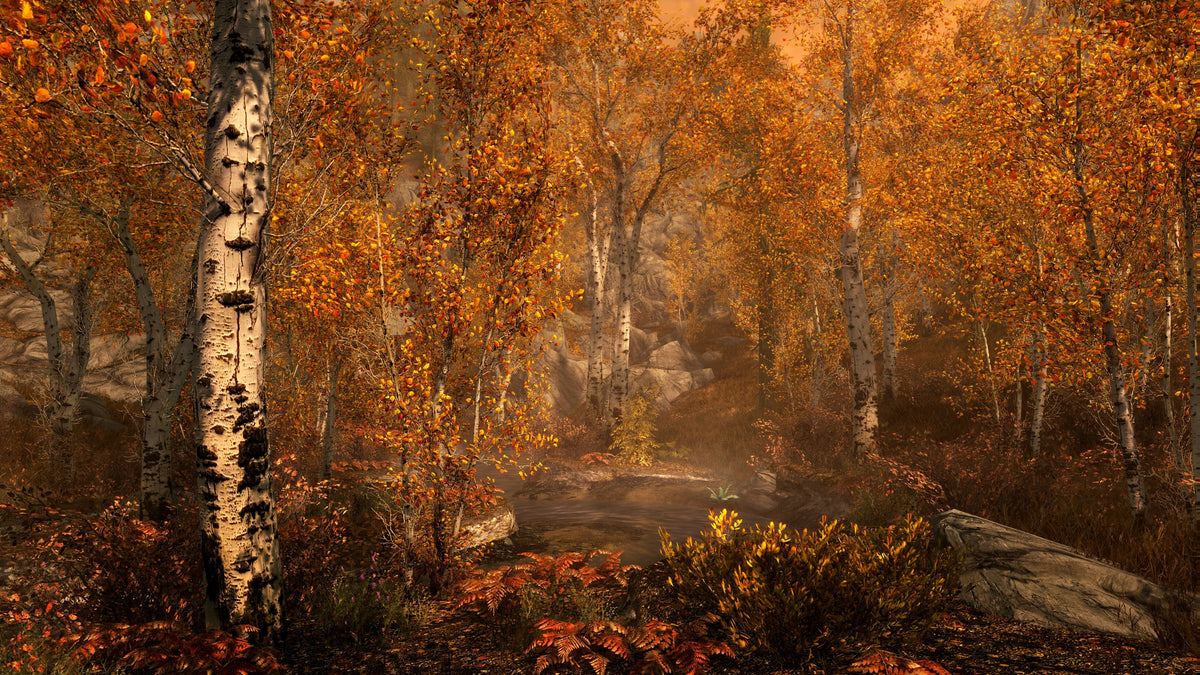 The Elder Scrolls V: Skyrim Special Edition - Xbox Digital Download - Screenshot
