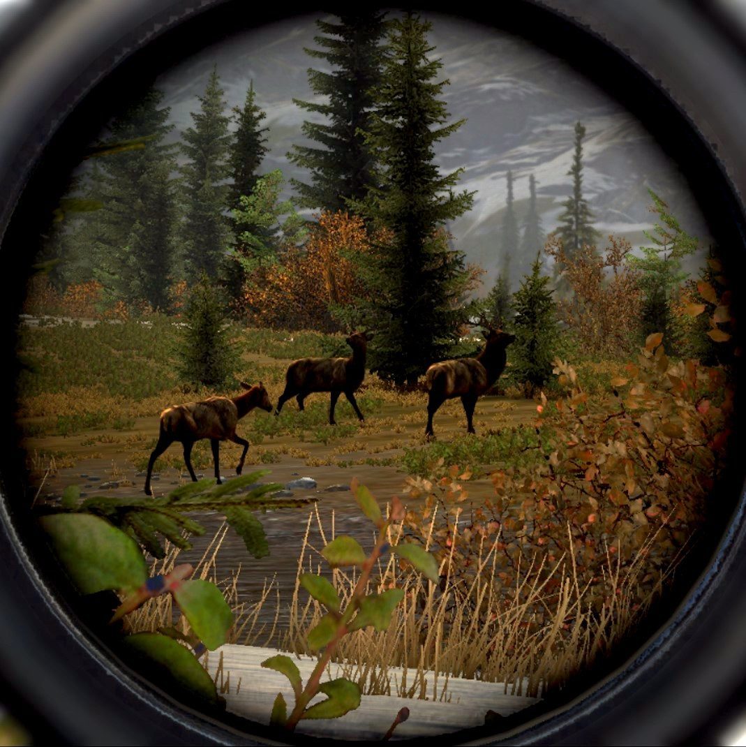 Cabela's Big Game Hunter Nintendo Wii Game - Screenshot