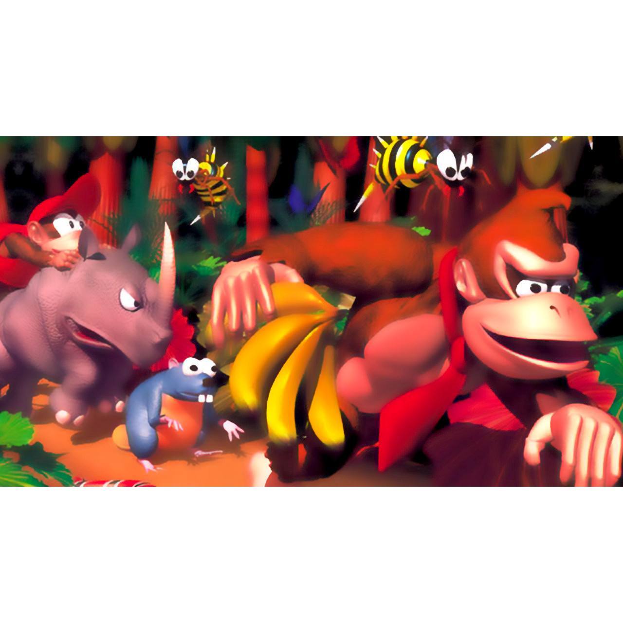 Donkey Kong Country