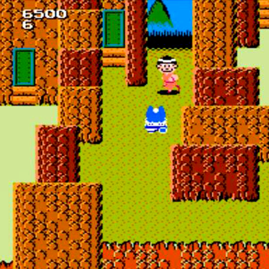 Dragon Power NES Nintendo Game - Screenshot