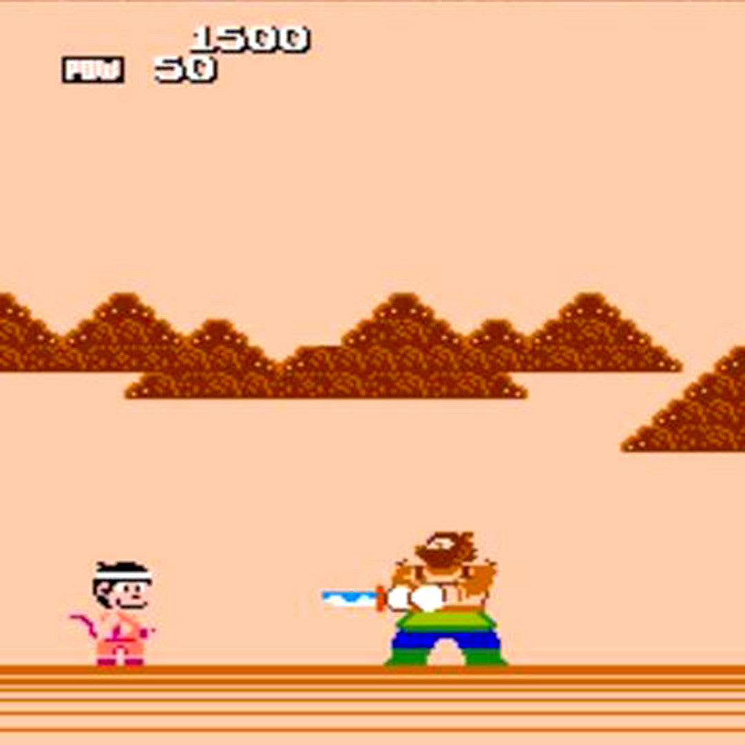 Dragon Power NES Nintendo Game - Screenshot