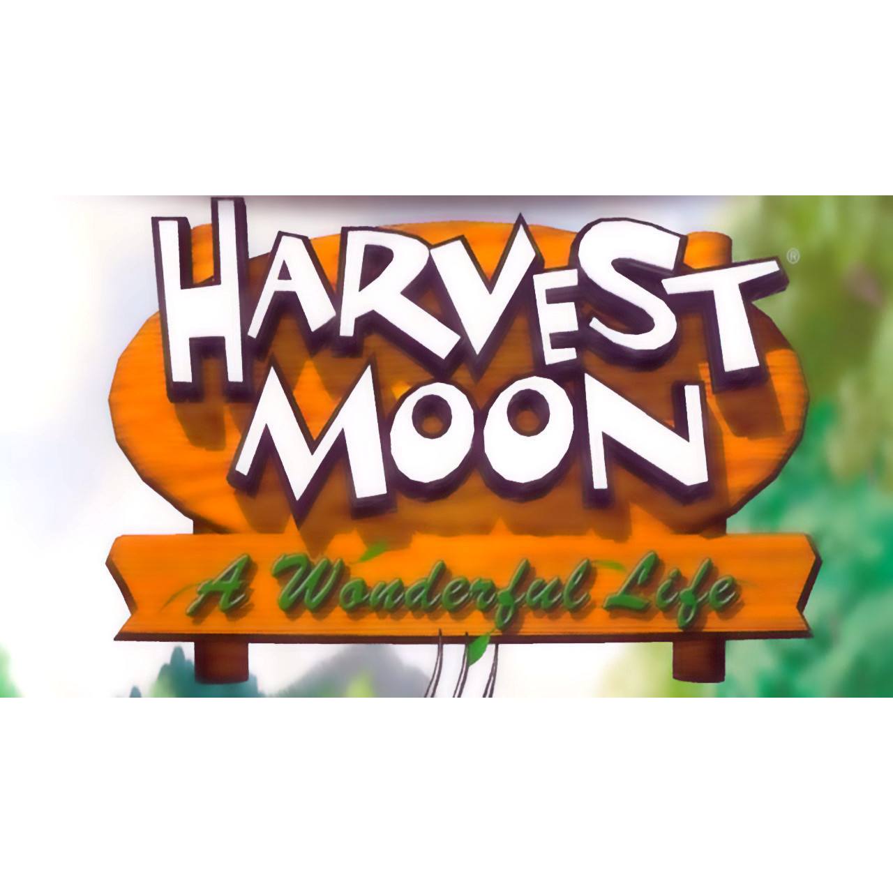 Harvest Moon: A Wonderful Life