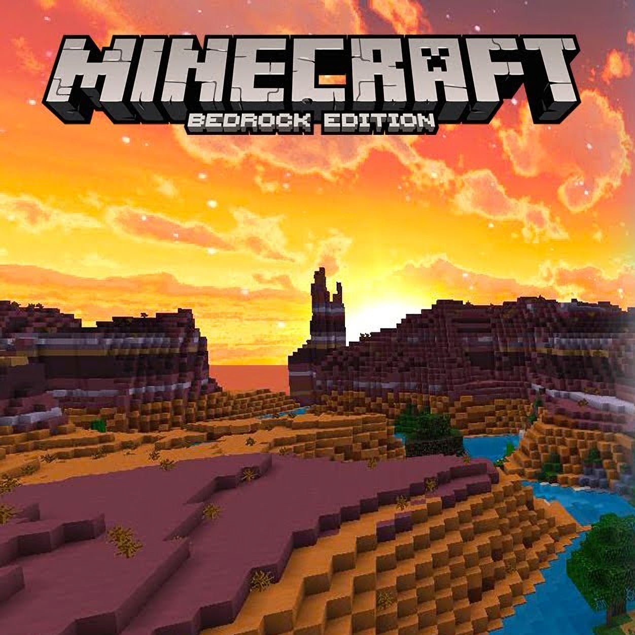 Minecraft Bedrock Argentina