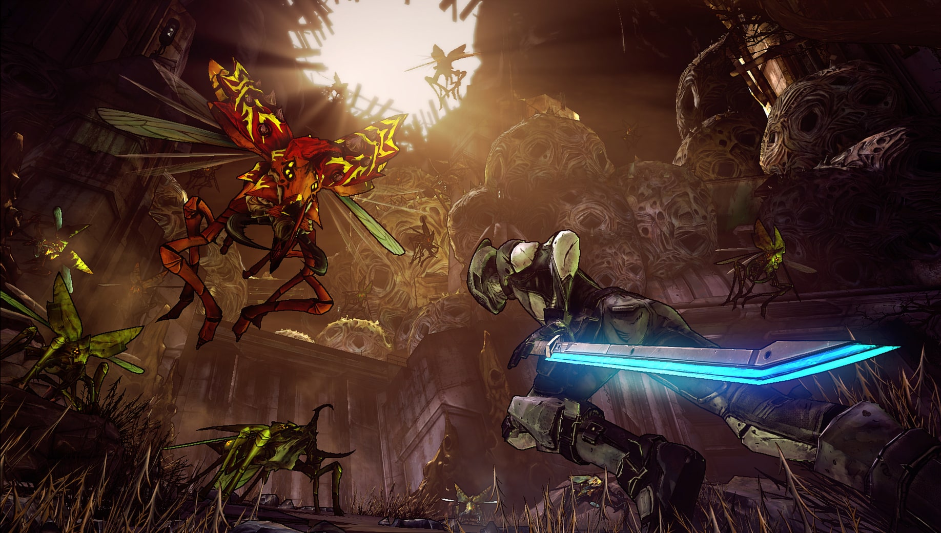 Borderlands 2: Game of the Year Edition PC Game Steam Digital Download | Screenshot