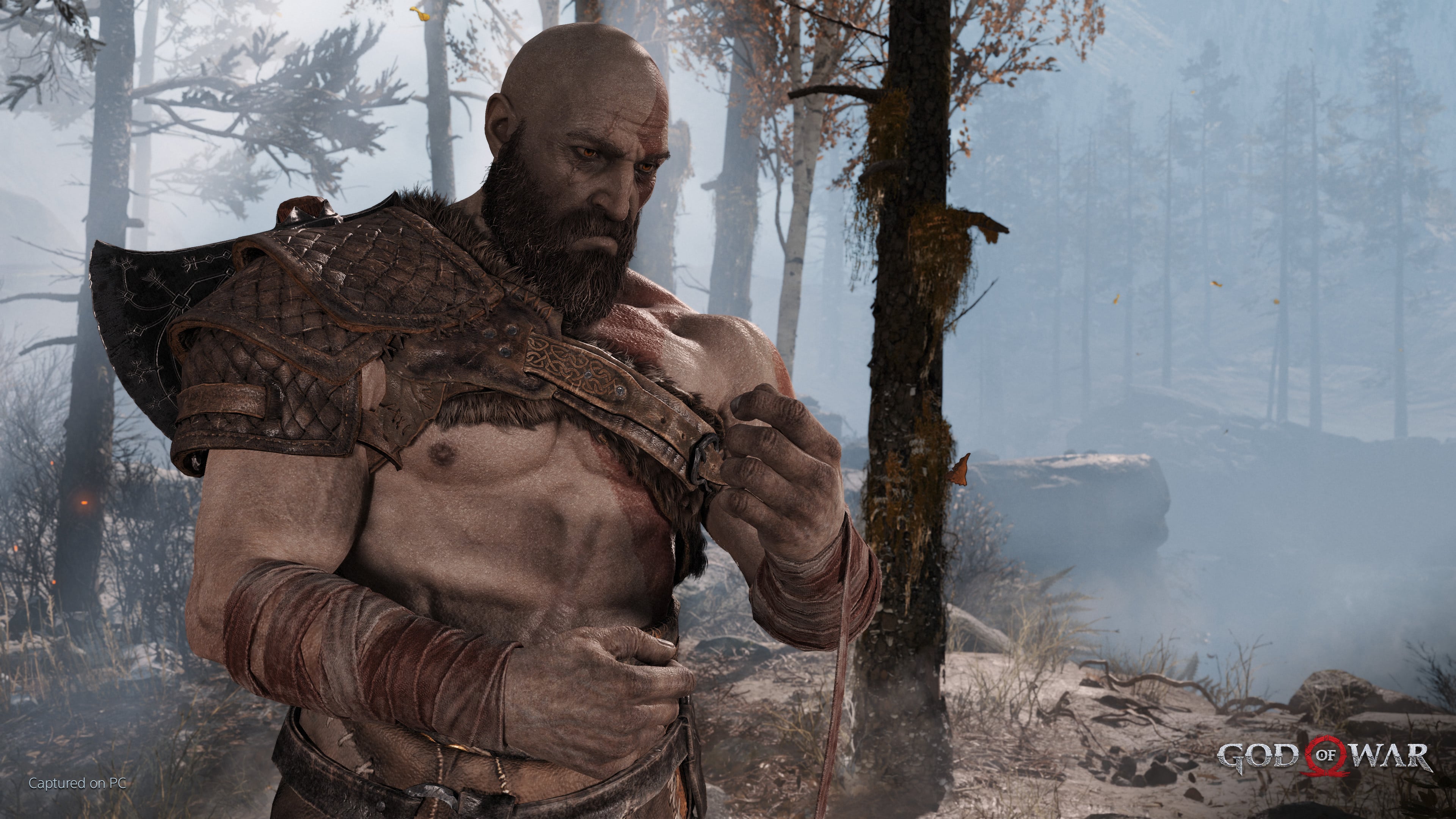 God of War | PC | Steam Digital Download | Screenshot
