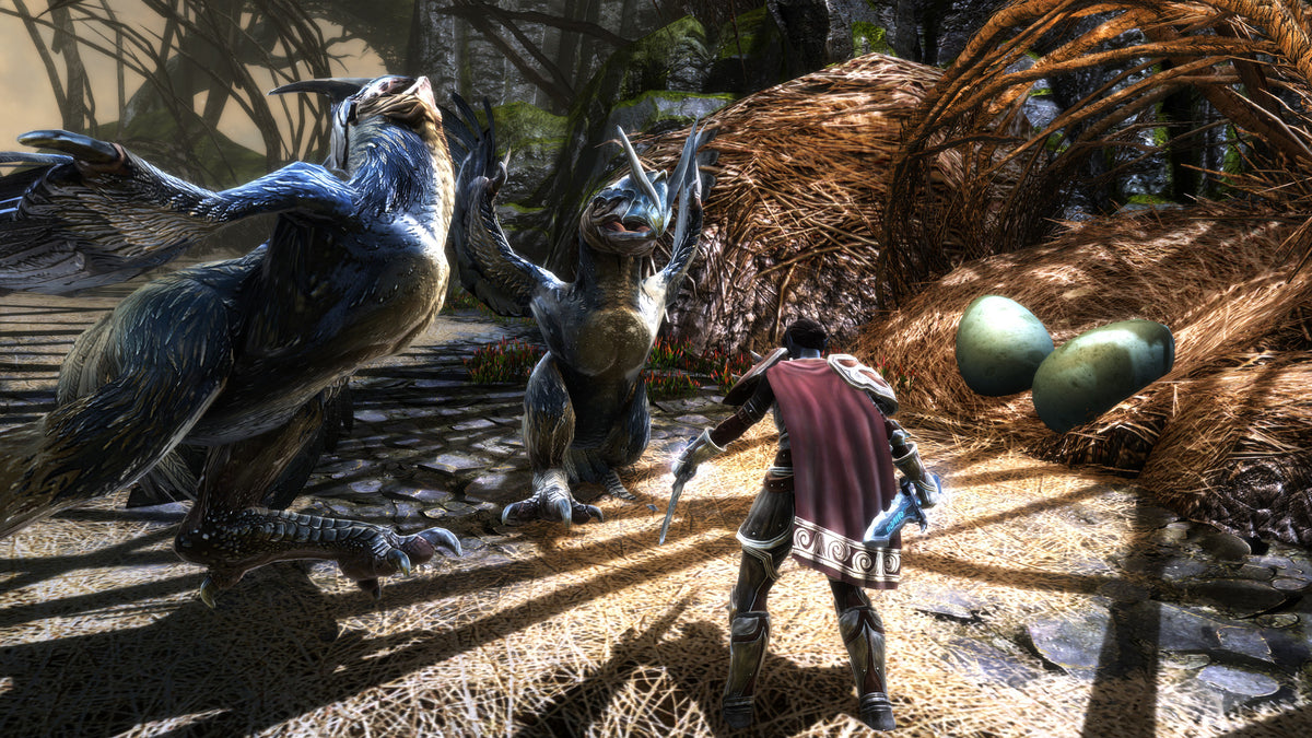 Kingdoms of Amalur: Re-Reckoning - PC Steam Game - Screenshot
