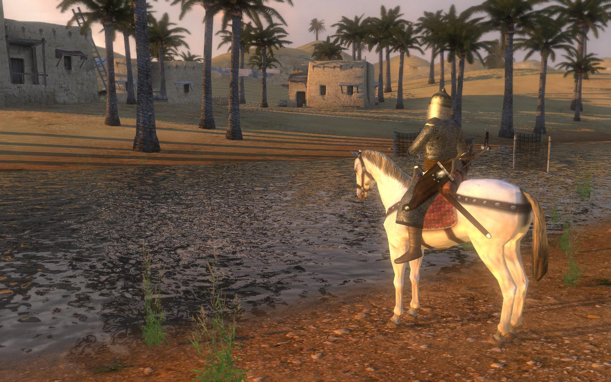 Mount & Blade: Warband - PC Mac Linux Steam Game - Screenshot