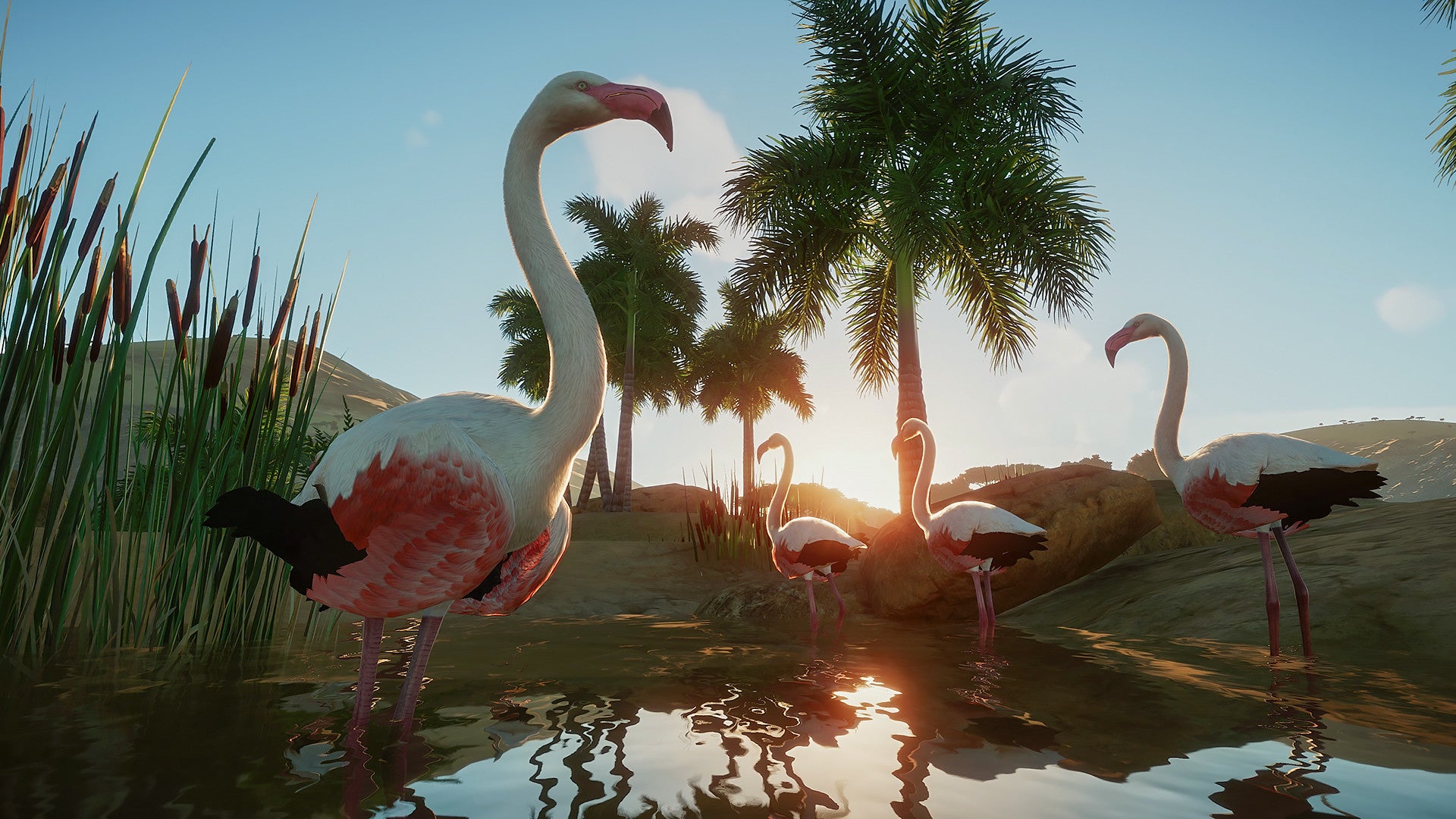 Planet Zoo - PC Steam Game - Screenshot