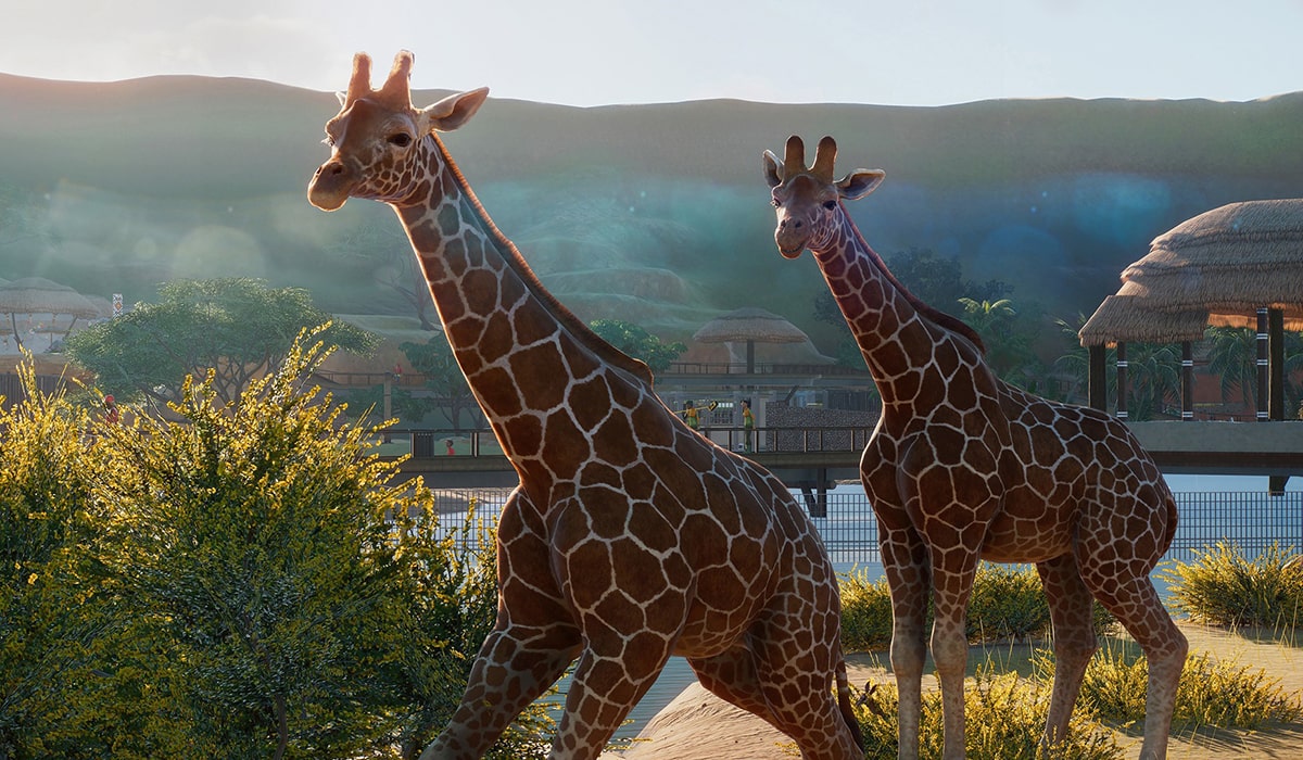 Planet Zoo: Deluxe Edition | Windows PC | Steam Digital Download | Launch Trailer