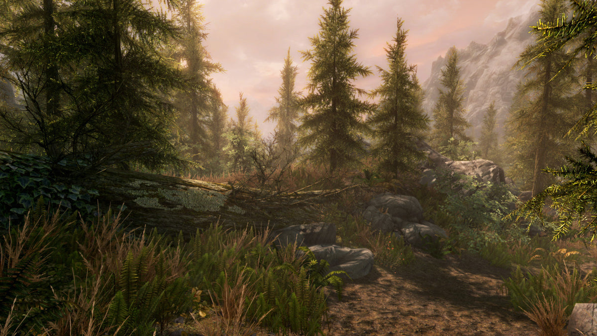 The Elder Scrolls V: Skyrim Special Edition - PC Steam Game - Screenshot