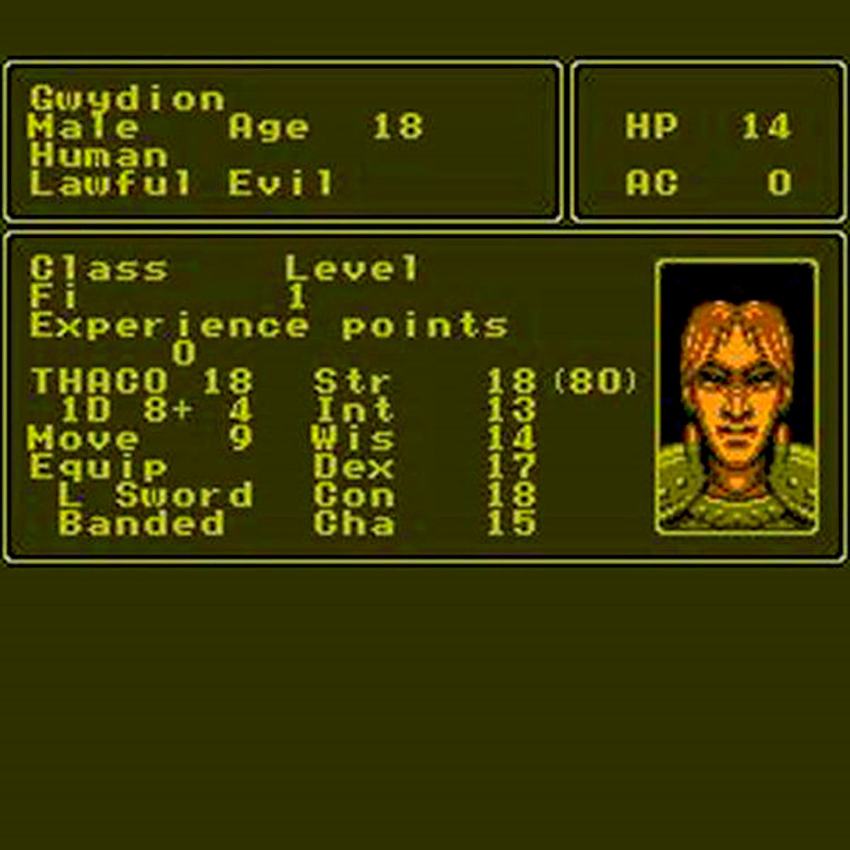 Advanced Dungeons & Dragons: Pool of Radiance NES Nintendo Game