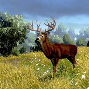 Cabela's Outdoor Adventures Nintendo Wii Game - Screenshot