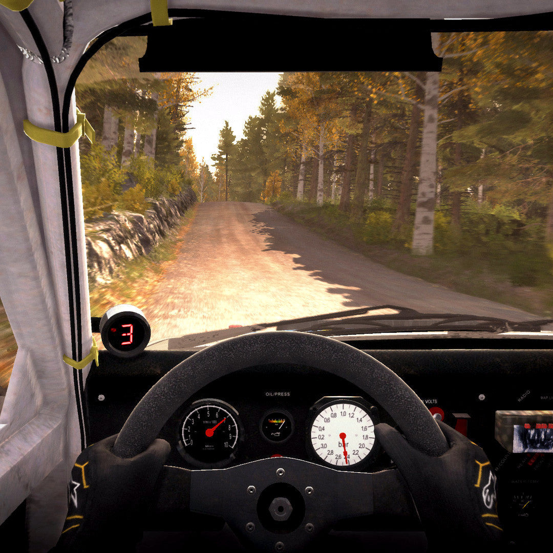 DiRT Rally PC Game Steam CD Key - Screenshot 4