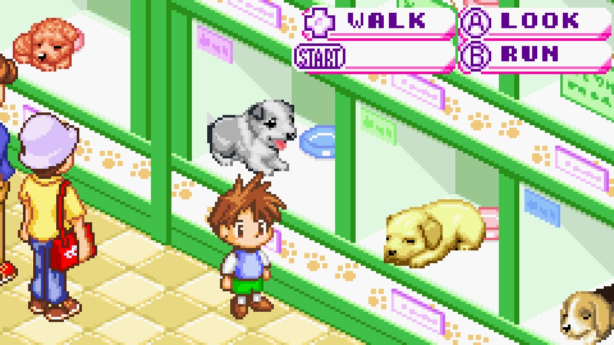 Dogz | Game Boy Advance | Screenshot