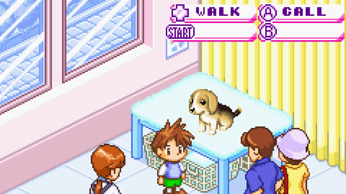 Dogz | Game Boy Advance | Screenshot