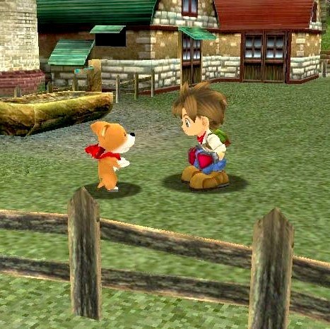 Harvest Moon: A Wonderful Life Nintendo Gamecube Game - Screenshot