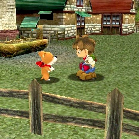 Harvest Moon : A Wonderful Life Version Le Choix des joueurs Harvest Moon : A Wonderful Life Version Le Choix des joueurs