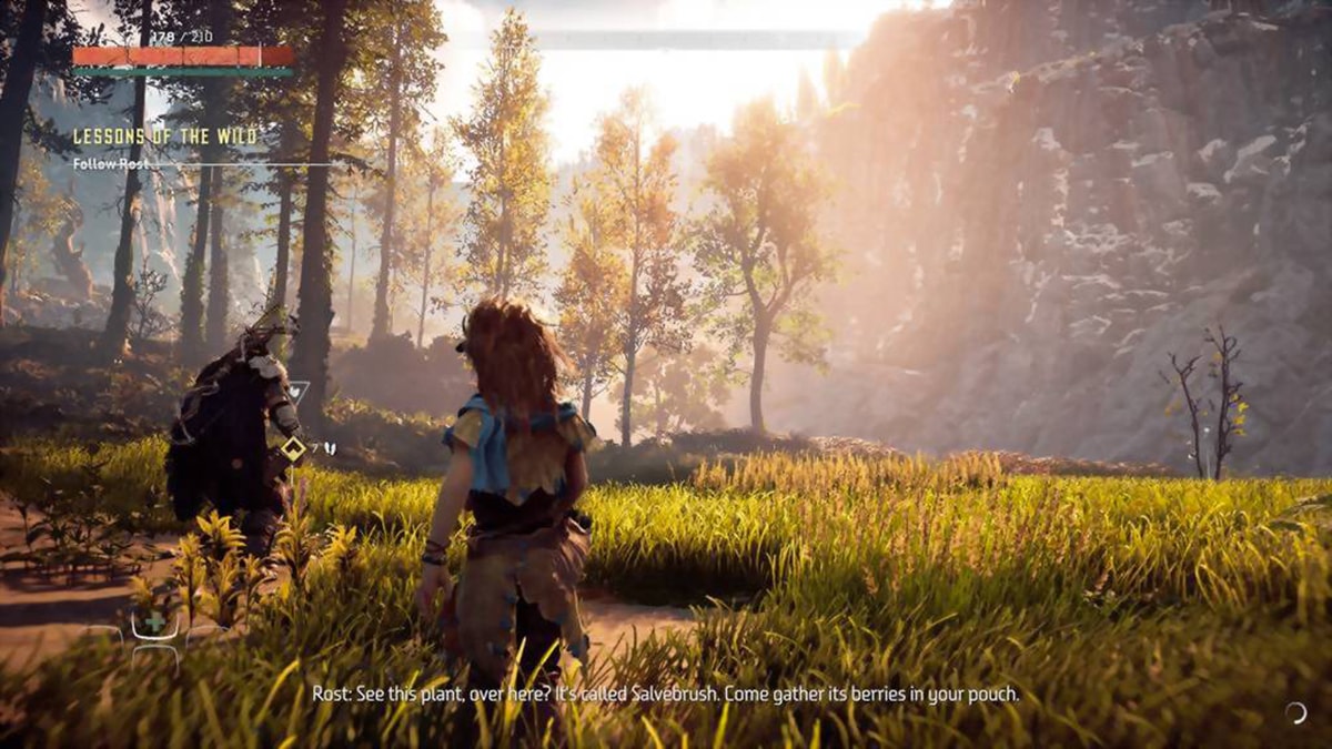 Horizon Zero Dawn: Complete Edition | PS4 Digital Download | Screenshot