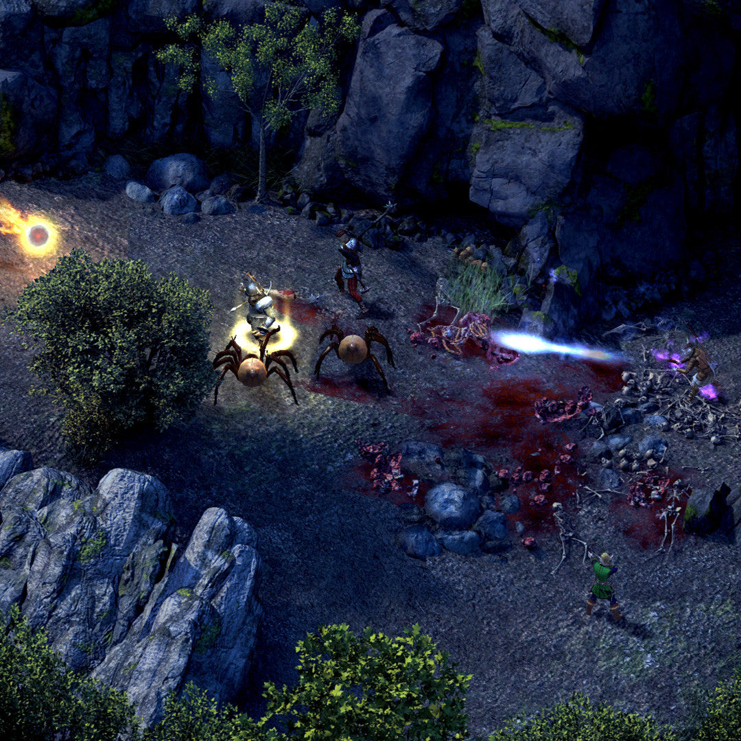 Pillars of Eternity: Hero Edition | PC Mac Linux | Steam Key - Screenshot 3