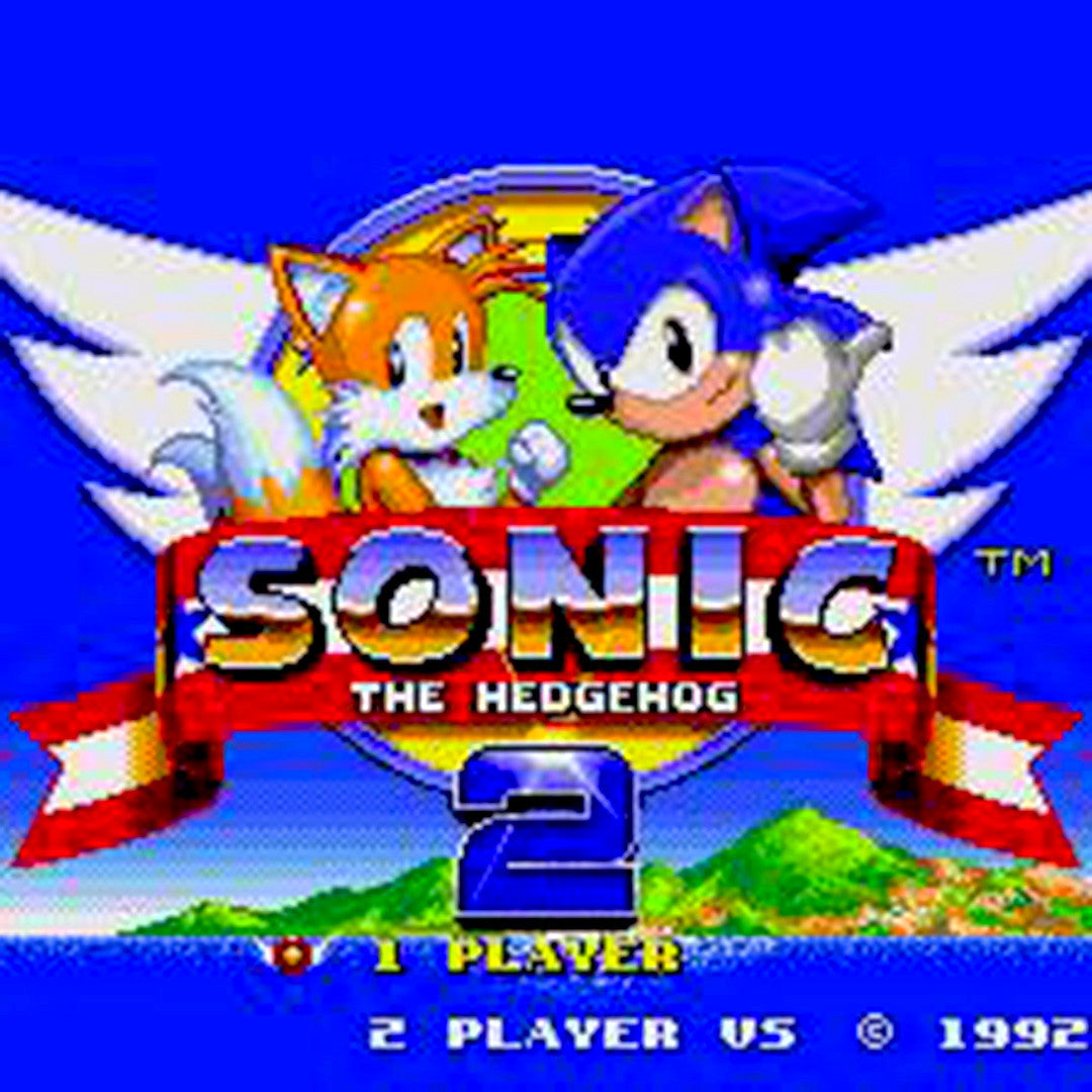 Sonic the Hedgehog 2 Sega Genesis Game - Screenshot 1