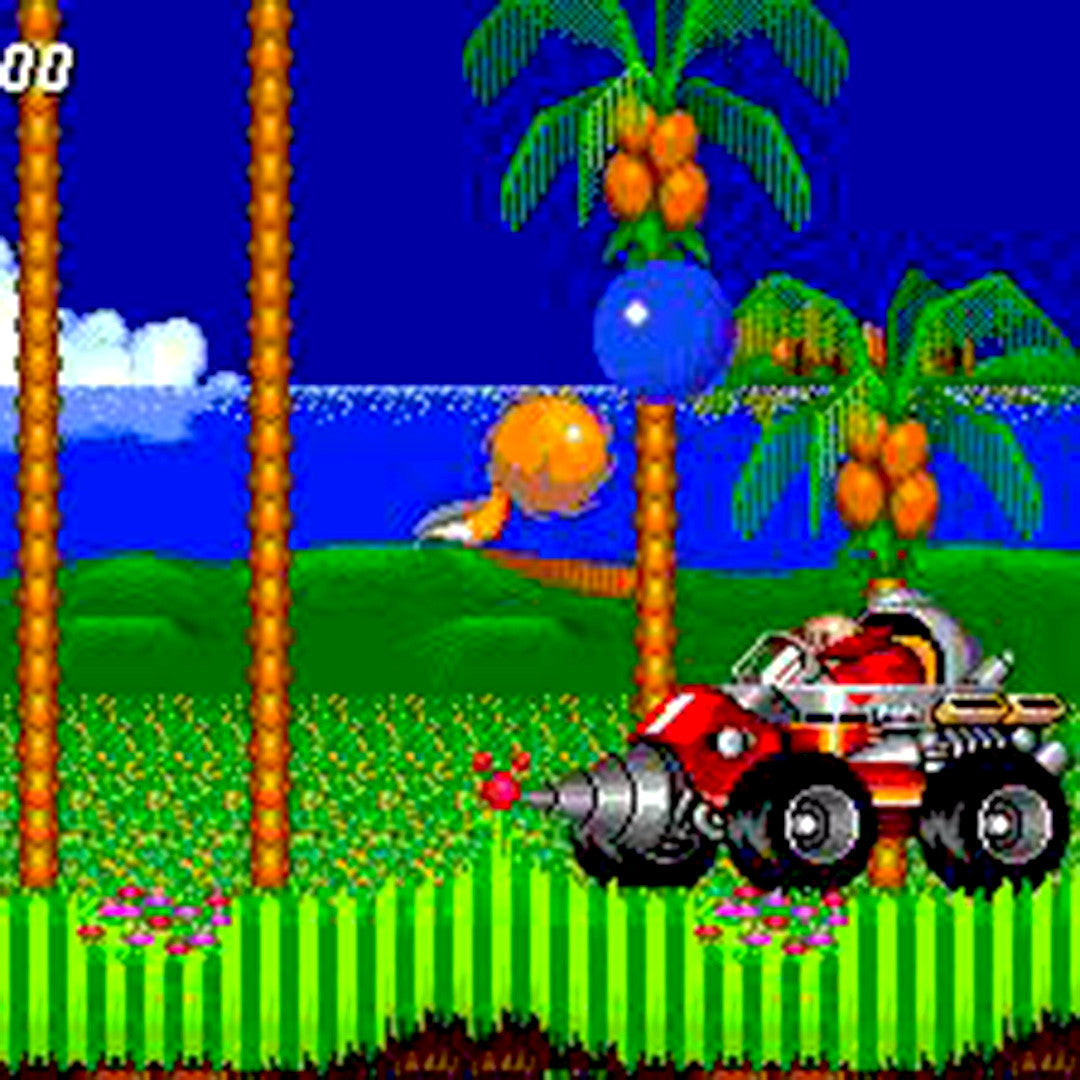 Sonic the Hedgehog 2 Sega Genesis Game - Screenshot 2