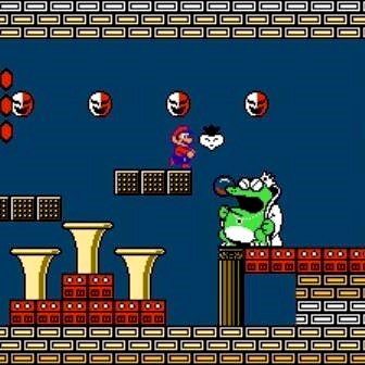 Super Mario Bros. 2 NES Nintendo Game - Screenshot