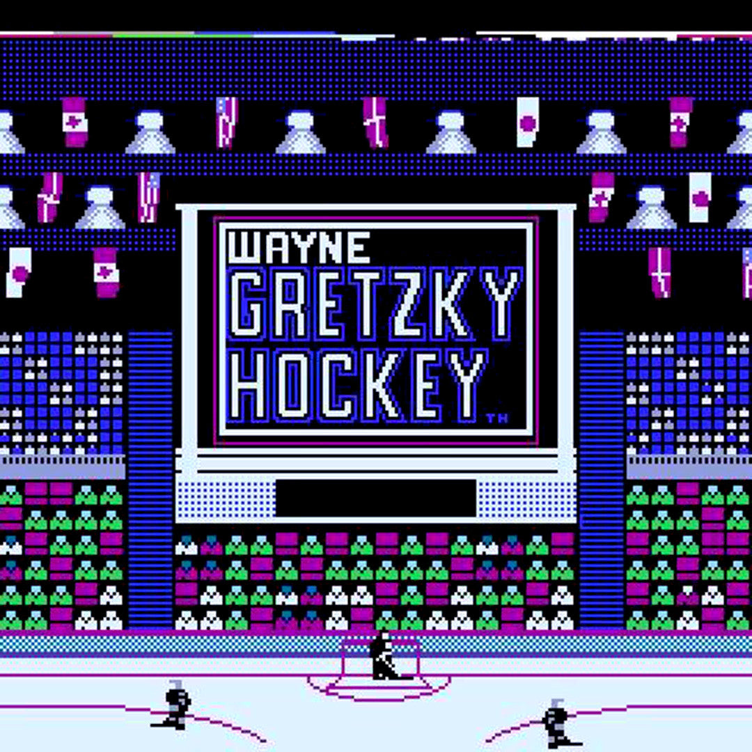 Wayne Gretzky Hockey NES Nintendo Game - Screenshot