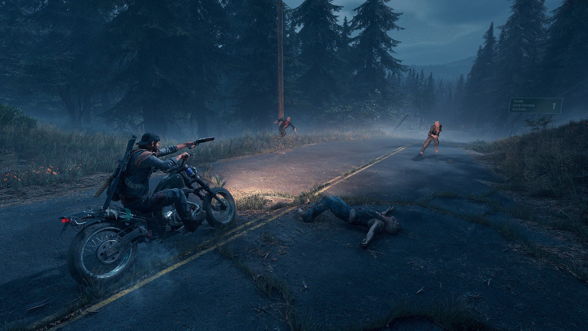 Days Gone, PC